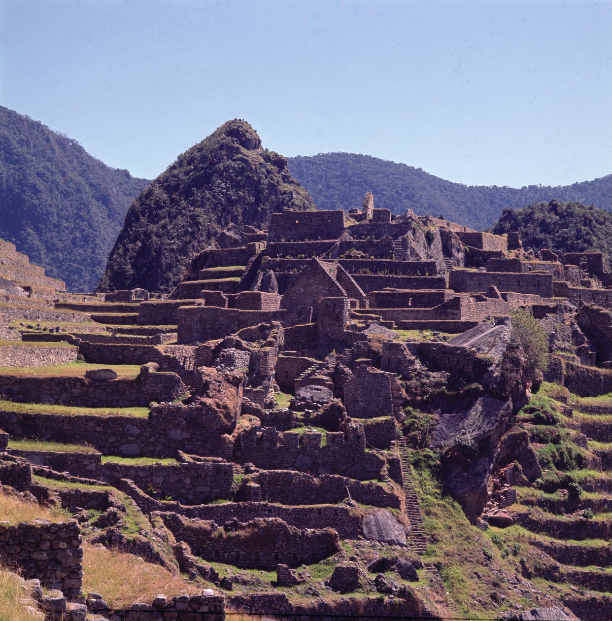 Terrassebygninger i citadellet ved Machu Picchu af Incan