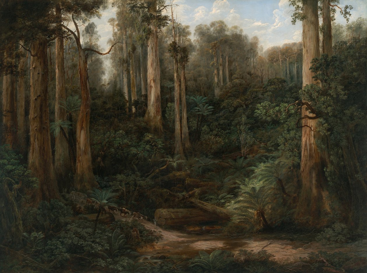 En Sassafras Gully, Gippsland af Isaac Whitehead