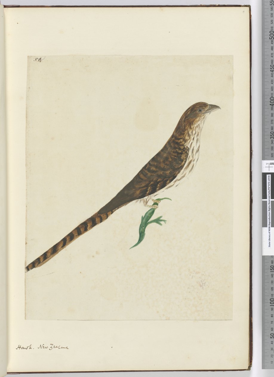 F.4 Høg. New Zealand, 1772-75 (wc) af Isaac Smith