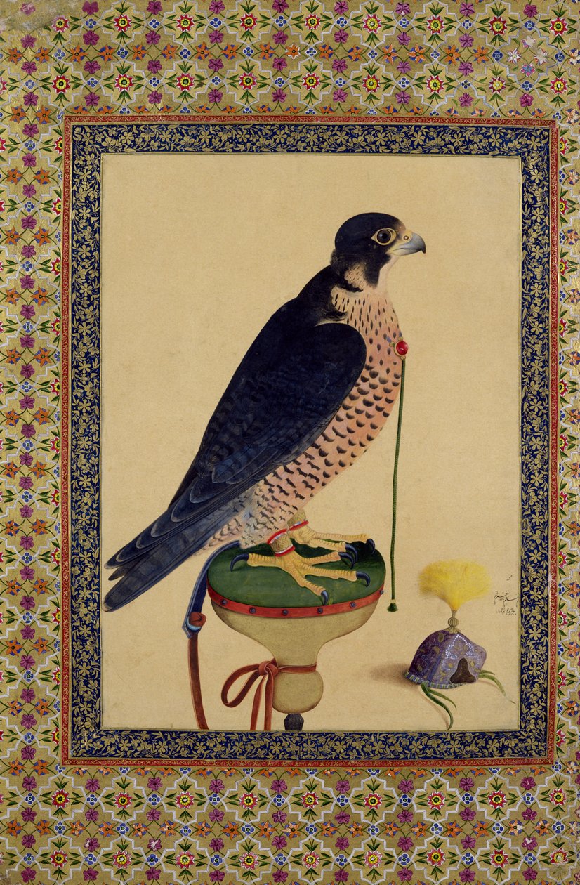 Ms E-14 Falcon, fra en Moraqqa af Islamic School