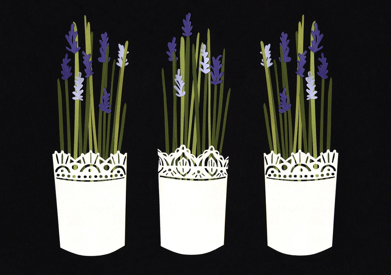 Lavendelpotter, 2014 (papir) af Isobel Barber