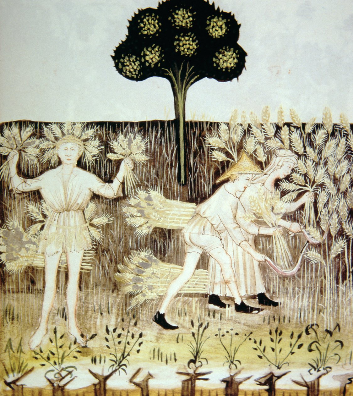 Fo.54r Summer: Harvesting the Wheat, illustration fra Tacuinum Santiatis Codex Vindobonensis af Italian School