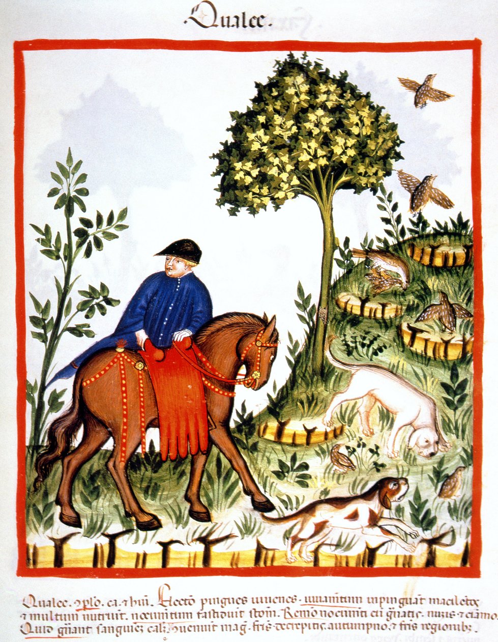 Fol.68r Vagtler, illustration fra Tacuinum Santiatis Codex Vindobonensis af Italian School