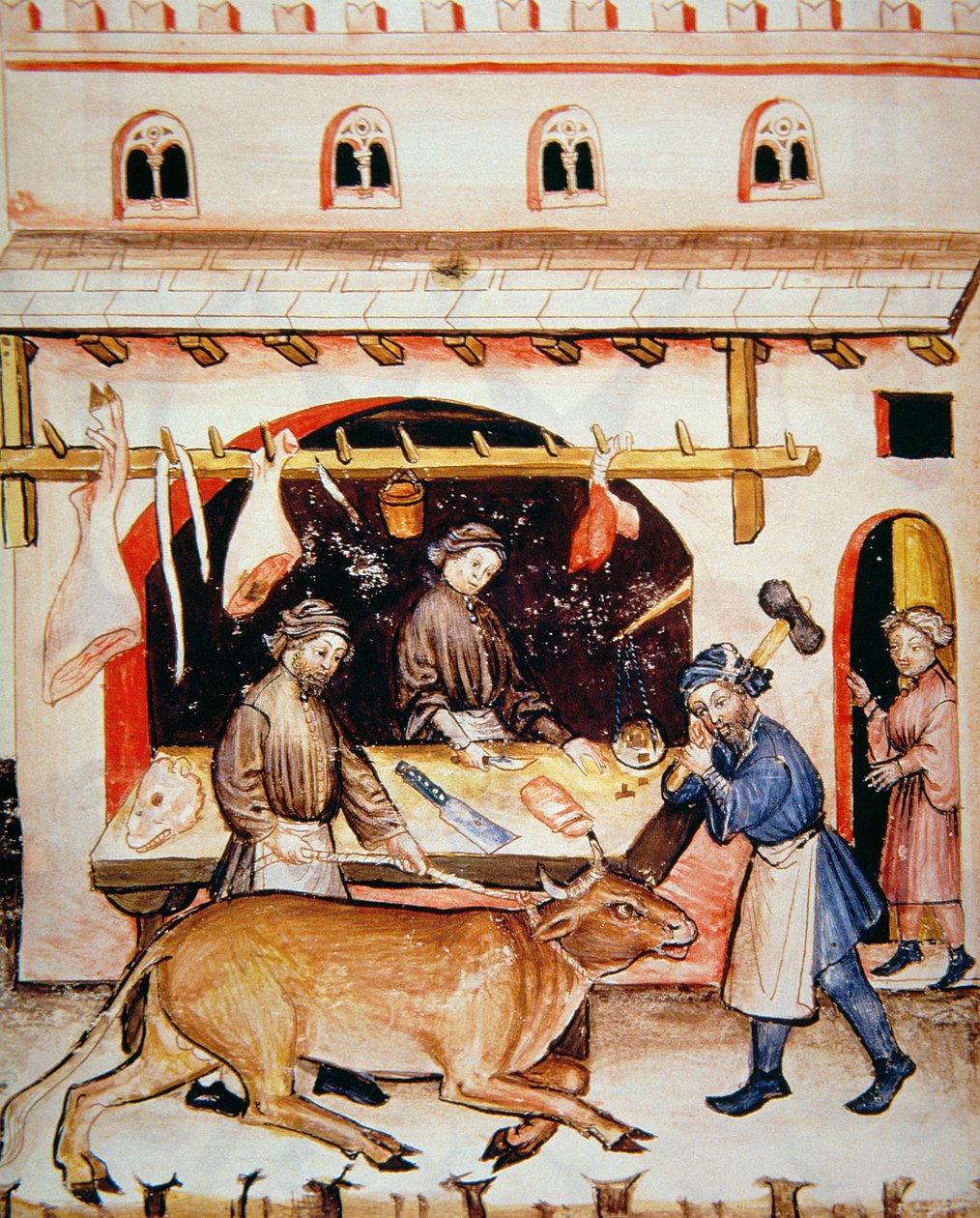 Fol.73v Slagterne: Kalvekød, illustration fra Tacuinum Santiatis Codex Vindobonensis af Italian School