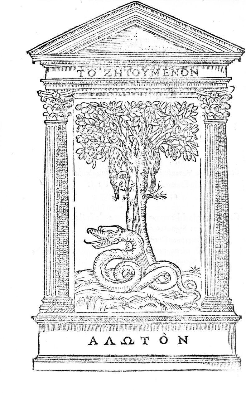 Illustration fra 