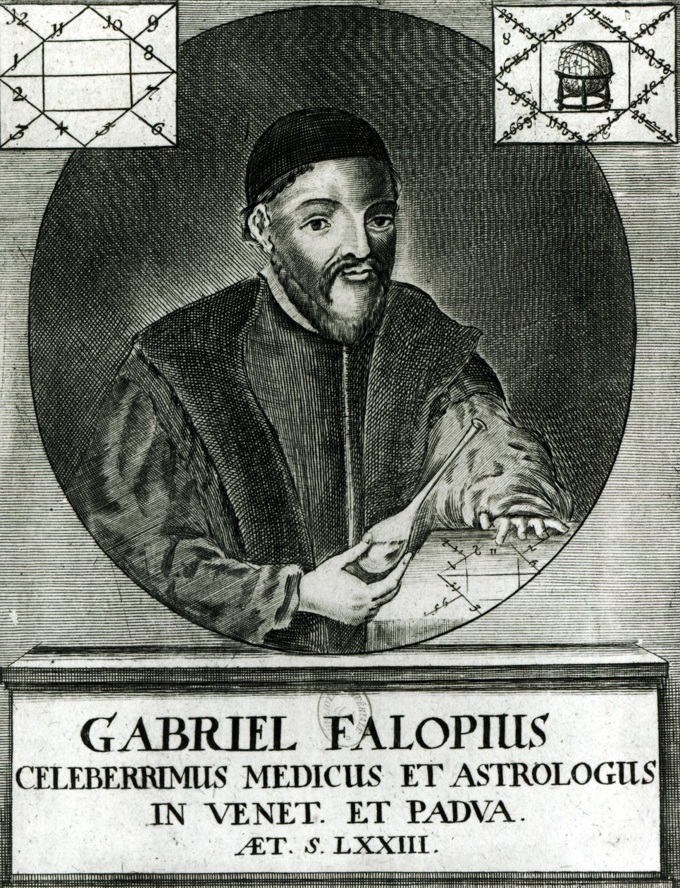 Portræt af Gabriel Fallopius (1523-62) af Italian School
