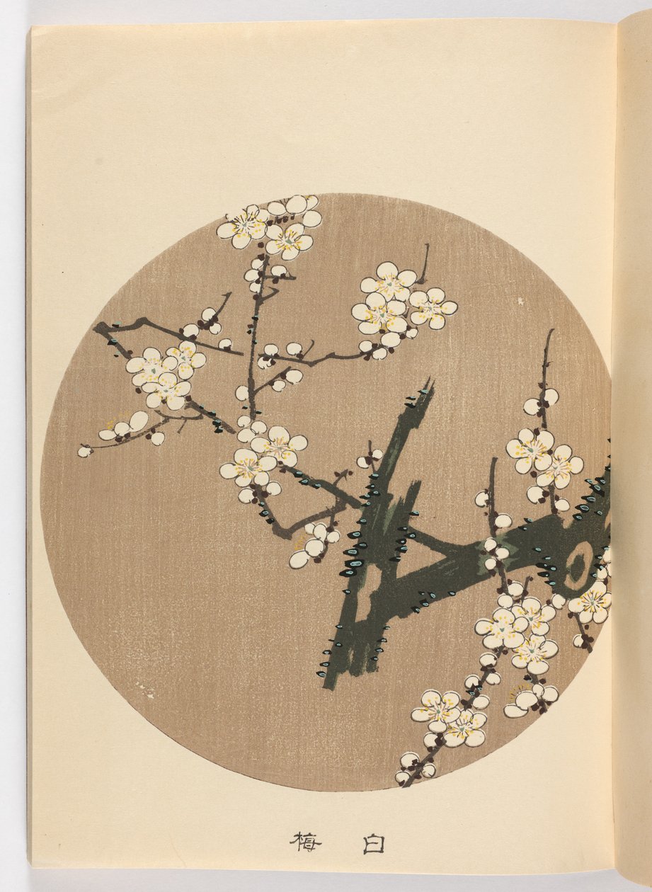 Svag lm? Er negativ, Meiji Ella, 1908 (DBock p Hayashi t) af Ito Jakuchu