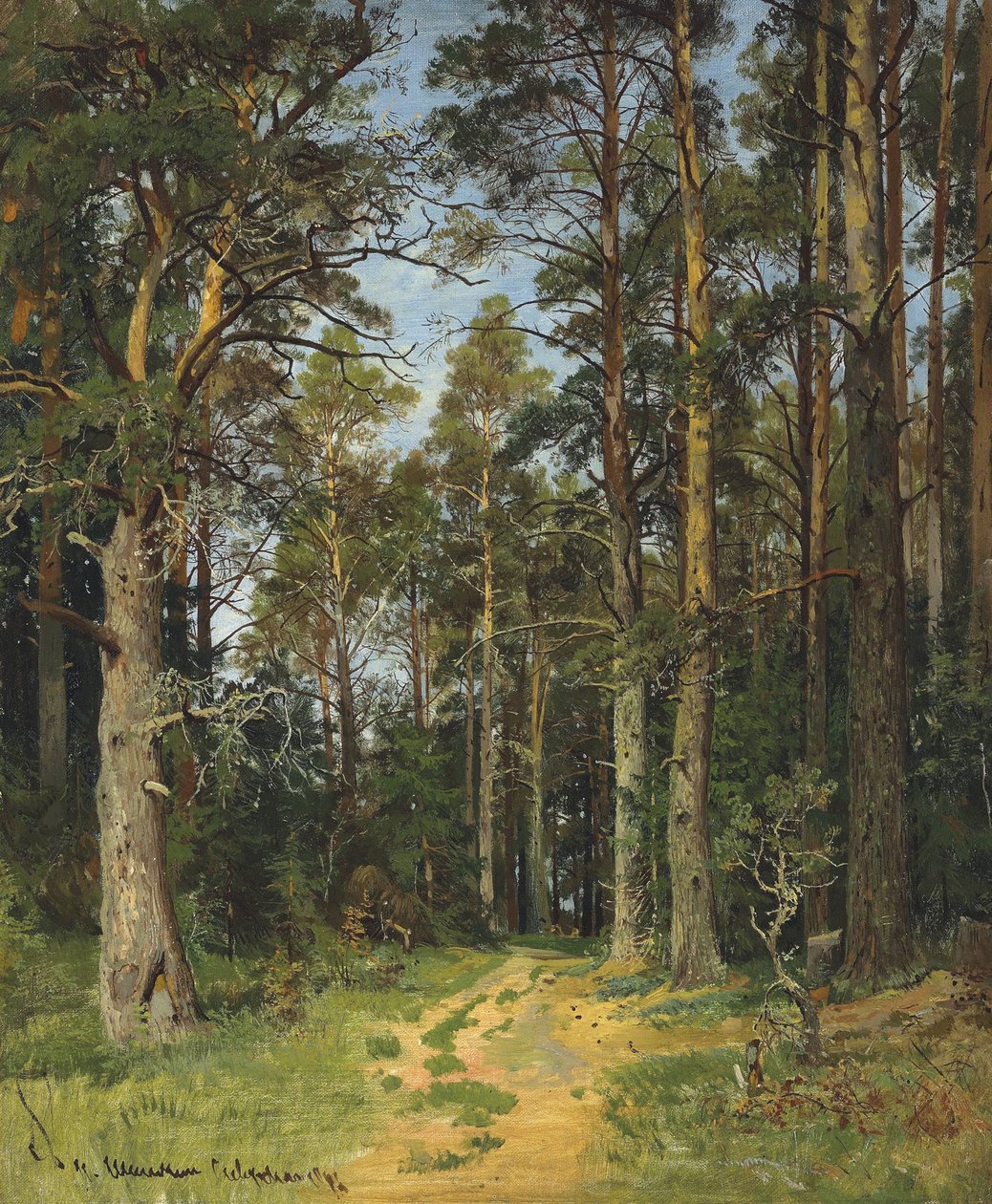 Siverskaya, 1896. af Ivan Ivanovich Shishkin