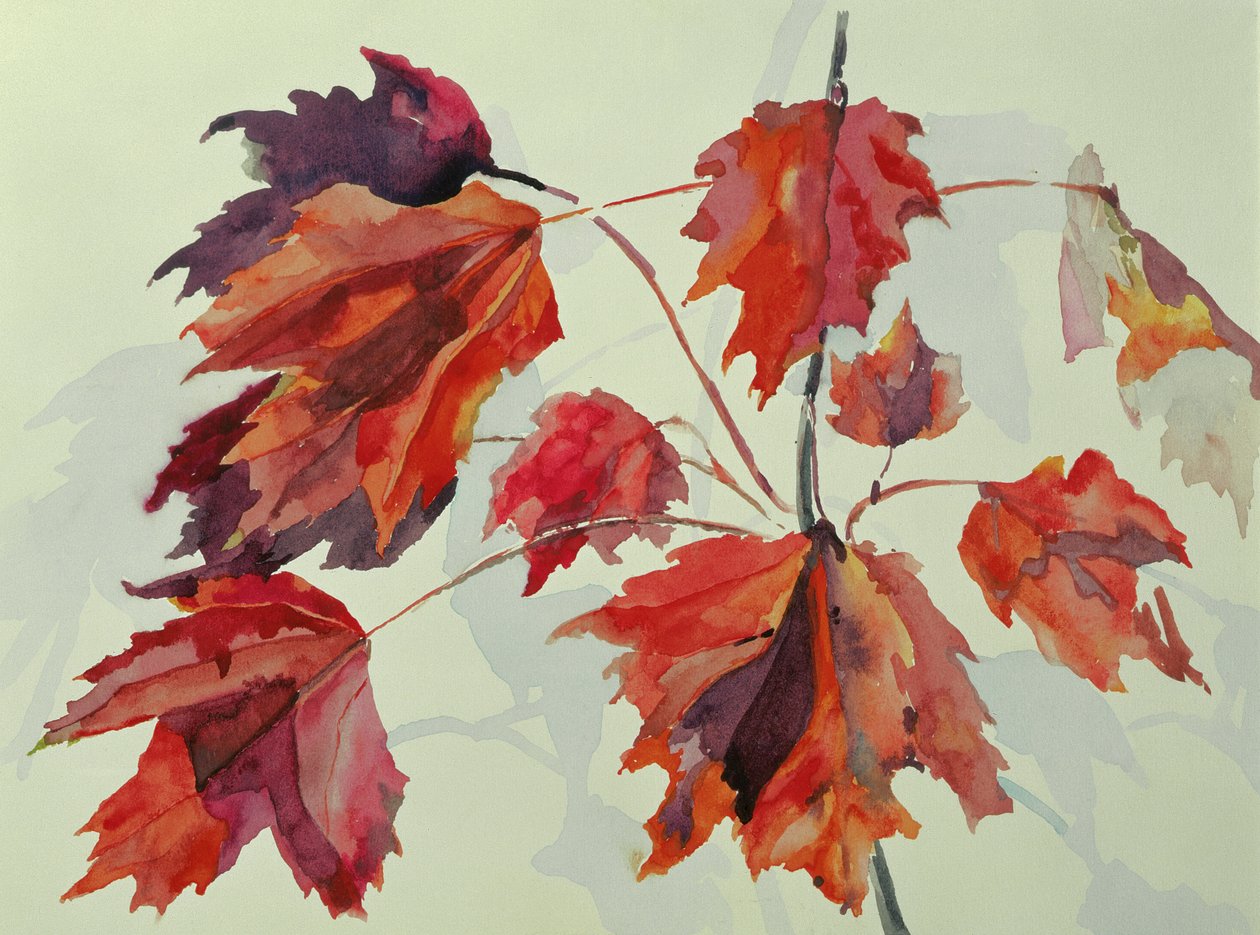 No.24 Autumn Maple Leaves (wc) af Izabella Godlewska de Aranda