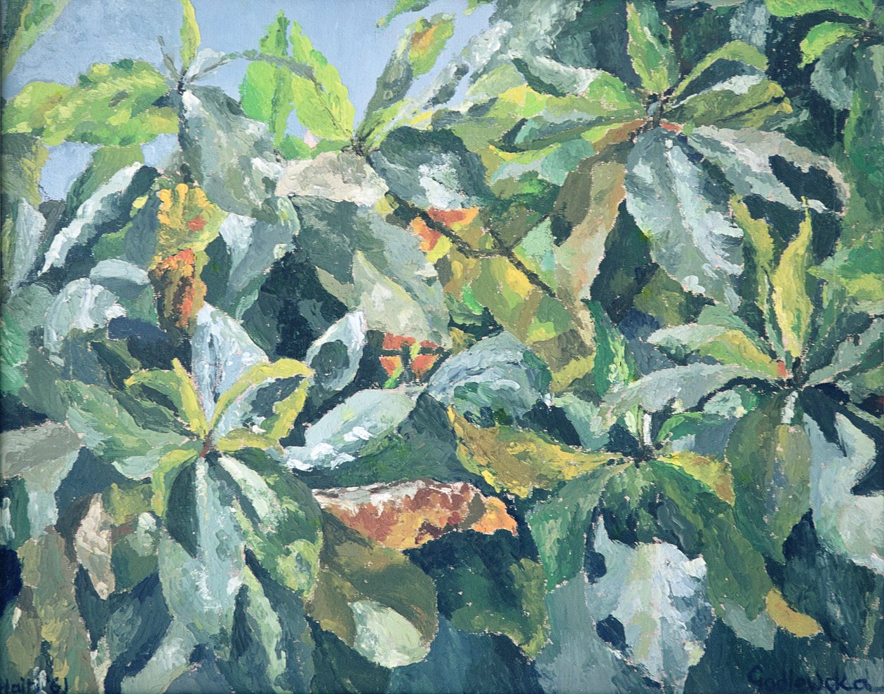 Planter, 1961 af Izabella Godlewska de Aranda