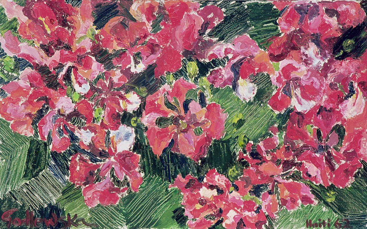 Rhododendron, 1962 af Izabella Godlewska de Aranda