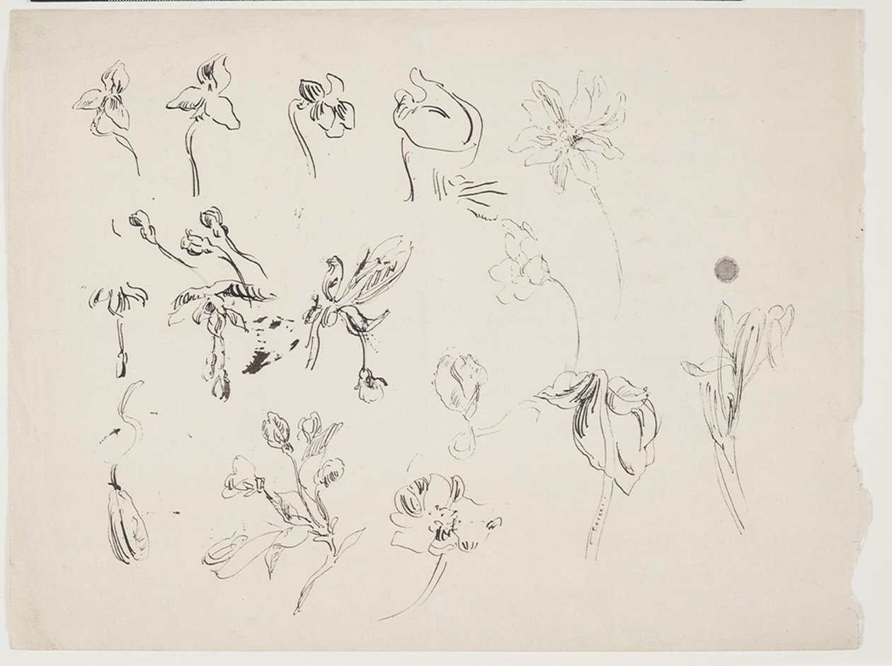 Blomsterskitser af J.A. Jerichau