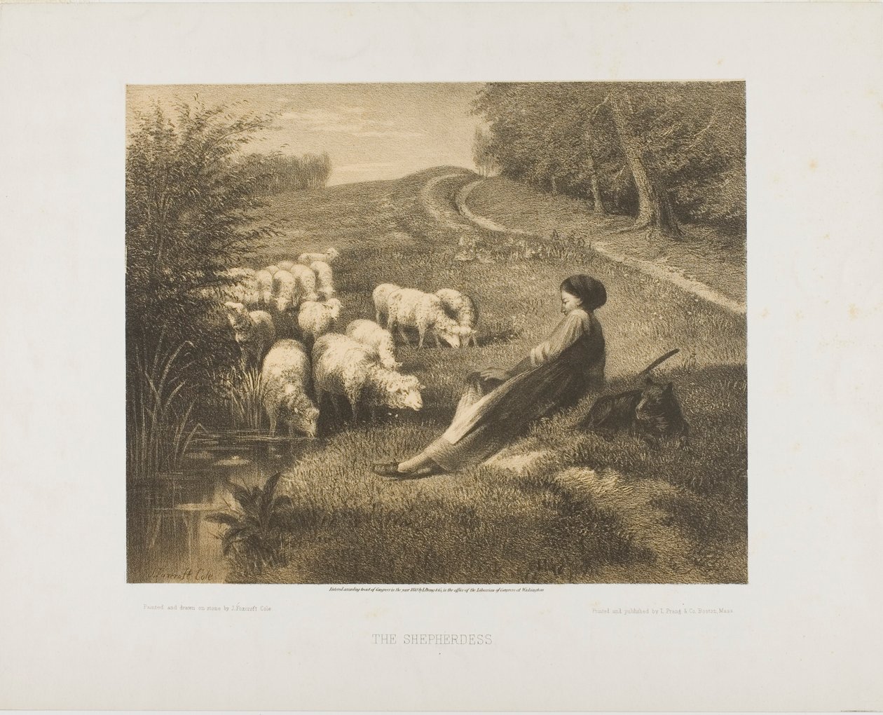 Hyrdinden af J. Foxcroft Cole