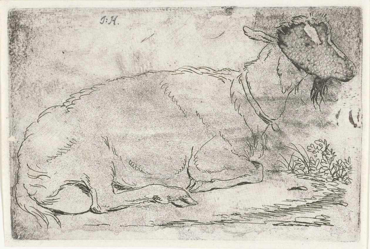 liggende ged af Jabes Heenck (signed by artist)