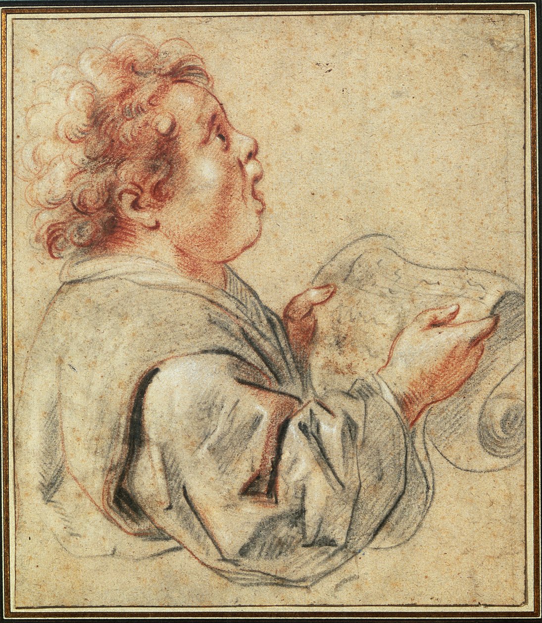 Korist (kridt på papir) af Jacob Jordaens