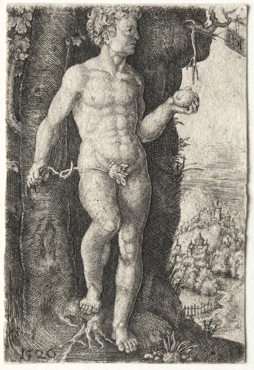 Adam af Jacob Binck