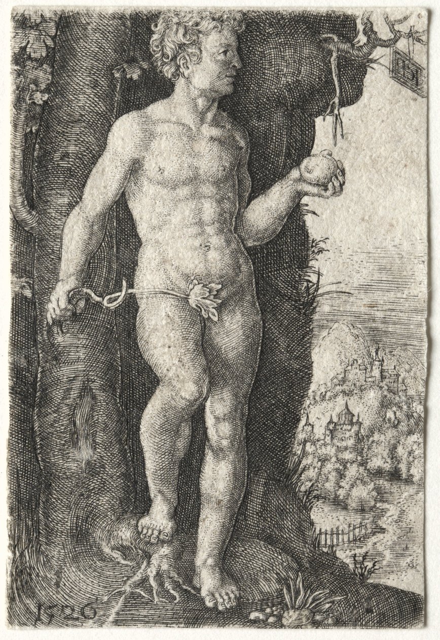 Adam, 1526. af Jacob Binck