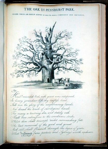 Egen i Penshurst Park af Jacob George Strutt