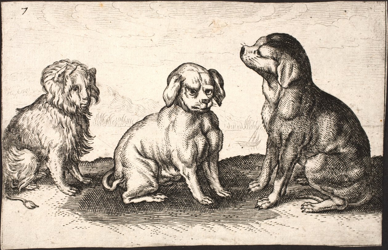 Tre små hunde af Jacob Matham