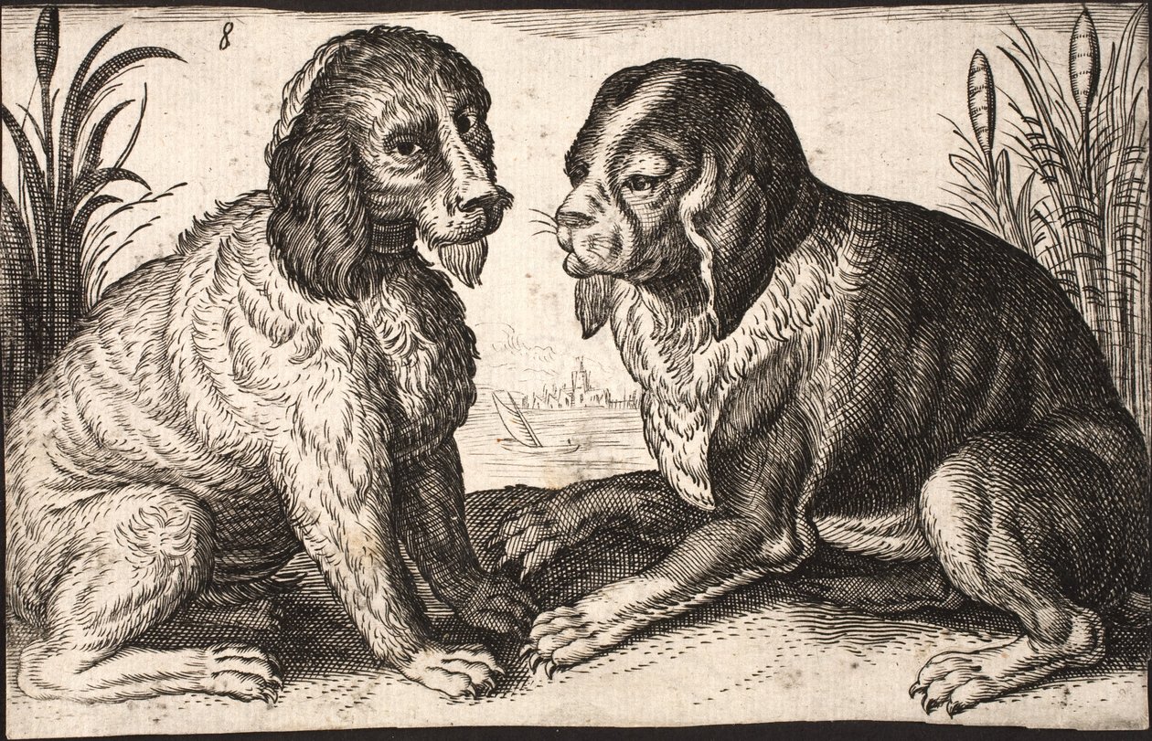 To hunde ved en søbred af Jacob Matham