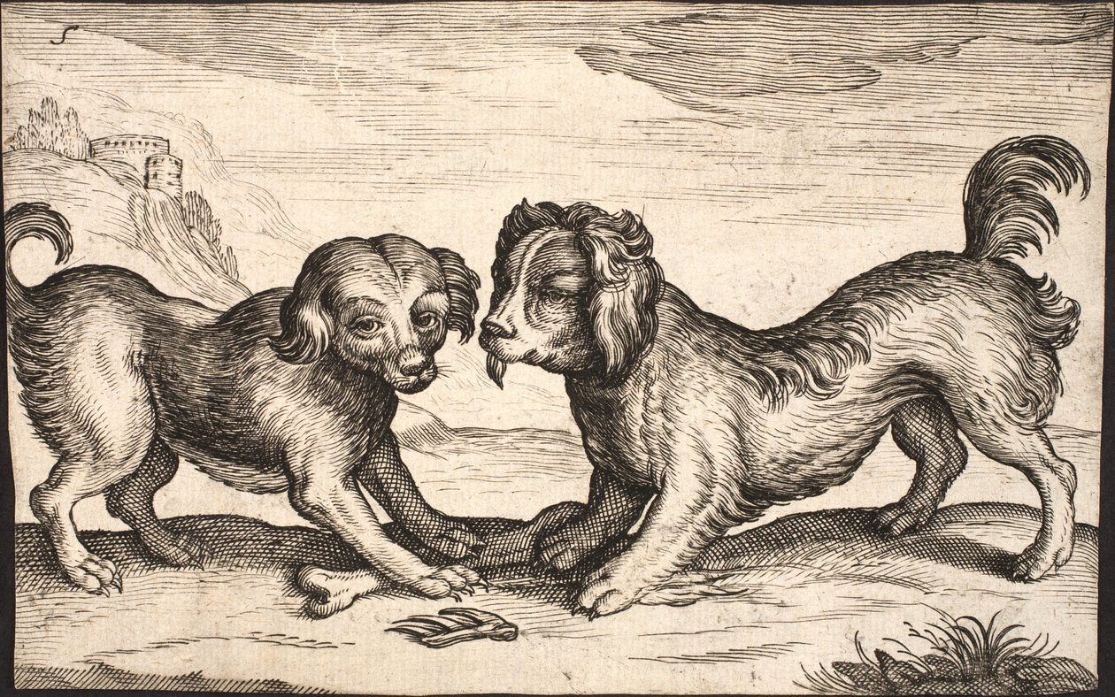 To små hunde af Jacob Matham