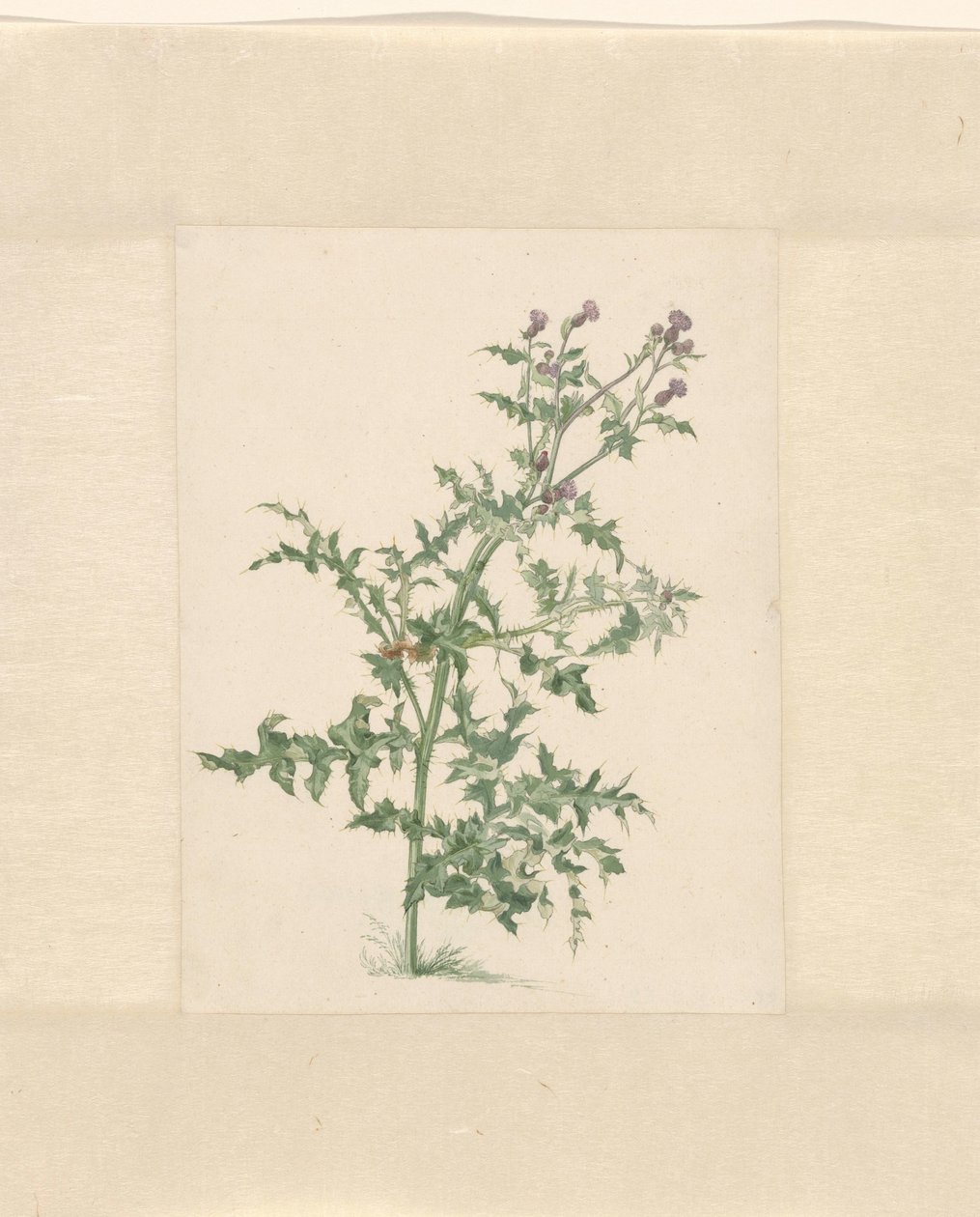 Blomstrende plante af Jacob van Eynden (II)