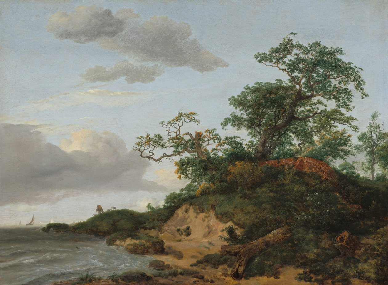 Klitter ved havet, 1648. af Jacob van Ruisdael
