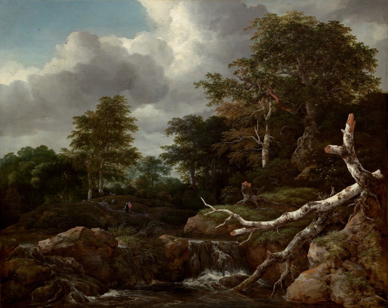 Skovscene, ca. 1655. af Jacob van Ruisdael
