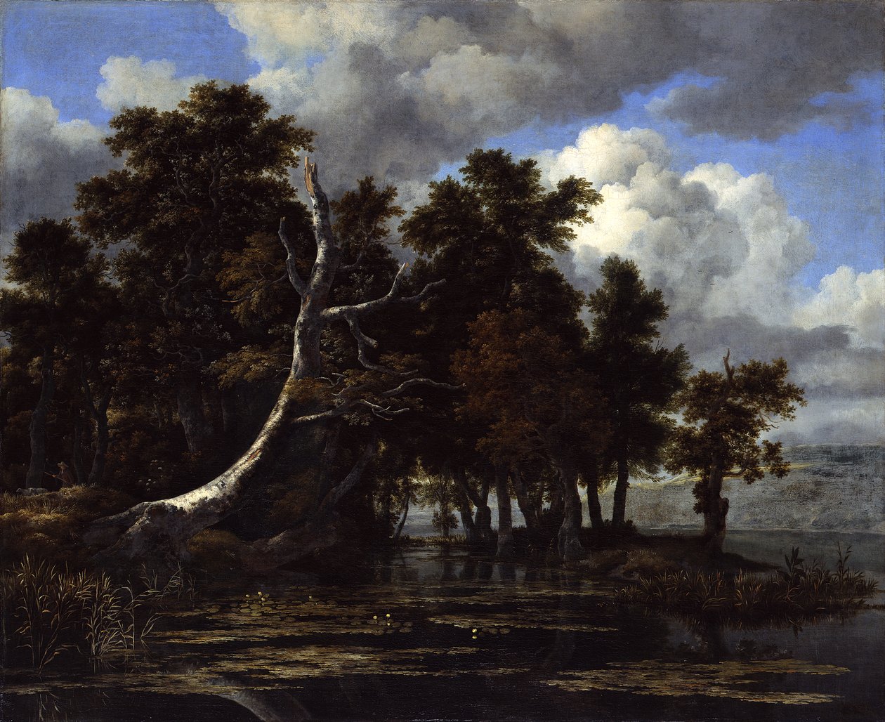 Egetræer ved en sø med åkander af Jacob van Ruisdael