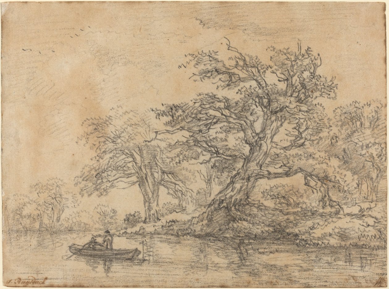 Gamle træer langs en bred af Jacob van Ruisdael