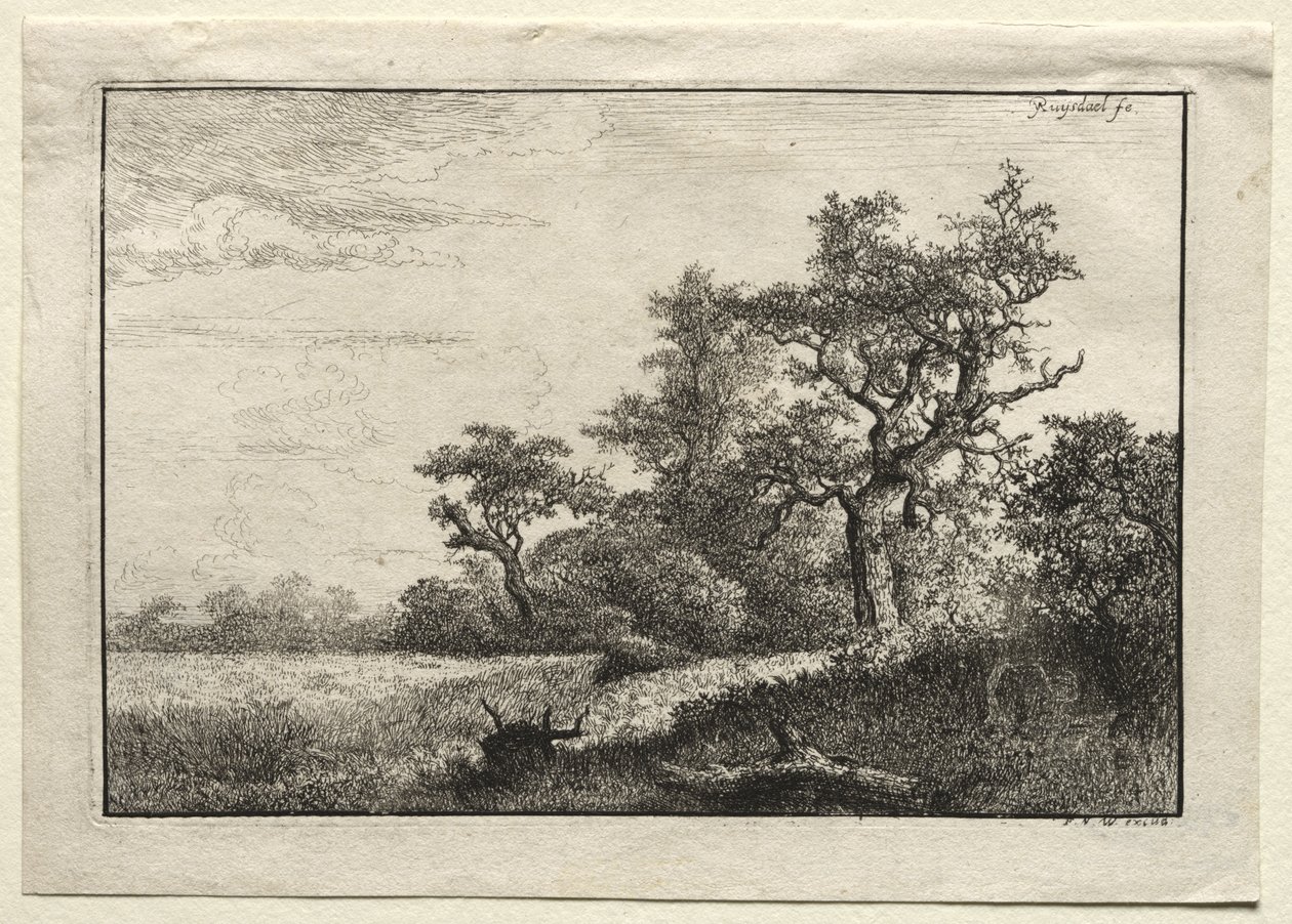 Hvedemarken af Jacob van Ruisdael