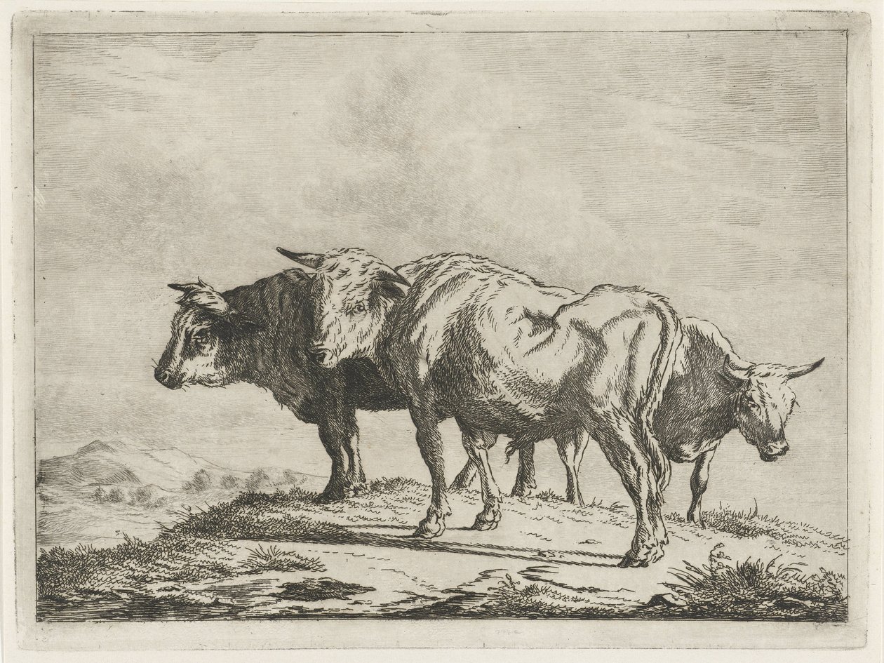 Tre okser af Jacobus Cornelis Gaal