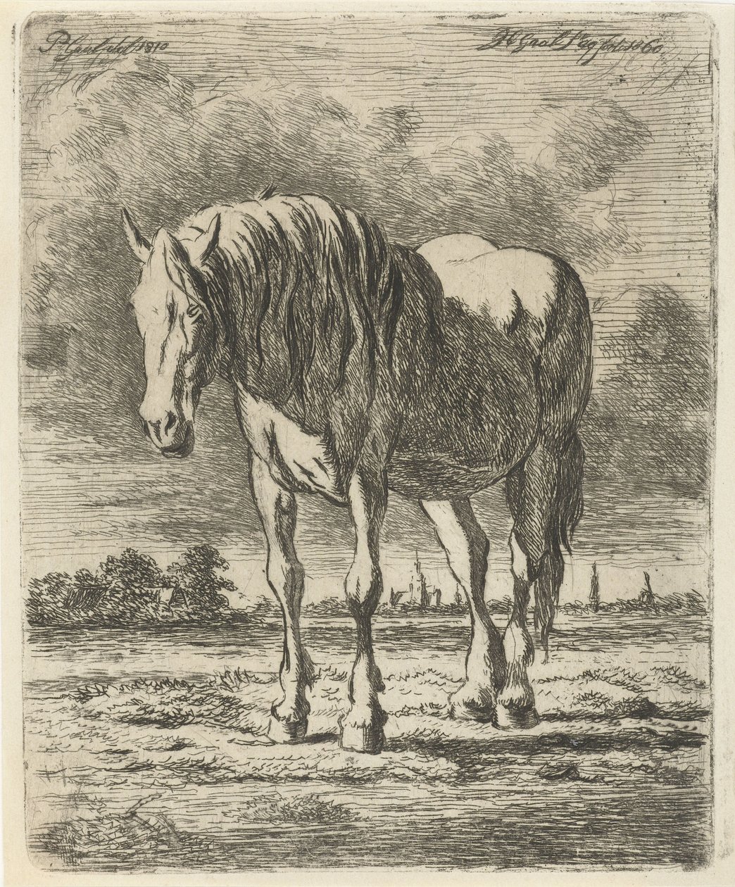 Stående hvid hest af Jacobus Cornelis Gaal