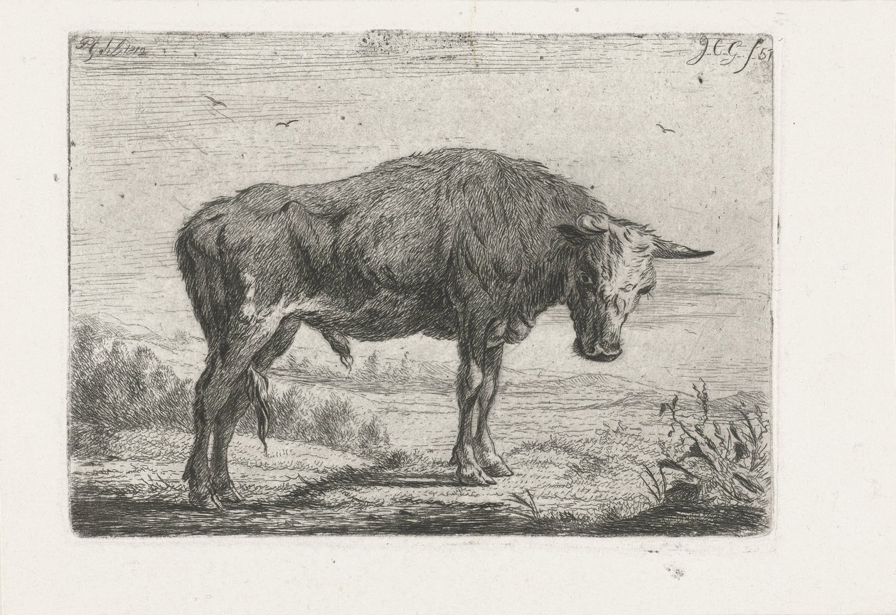 stående tyr af Jacobus Cornelis Gaal