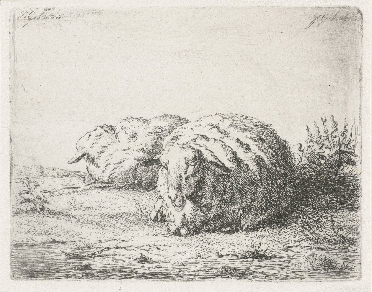 To liggende får af Jacobus Cornelis Gaal