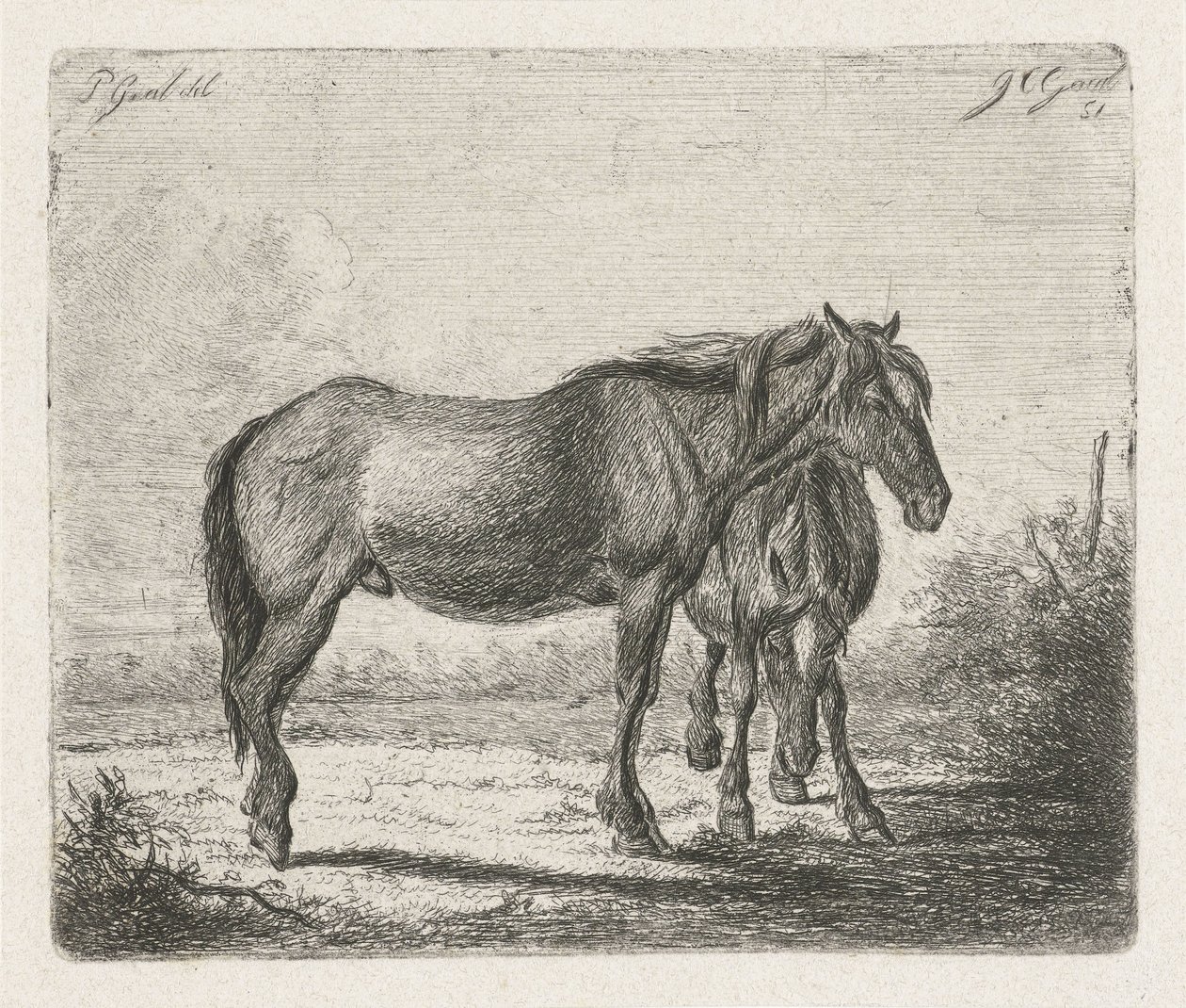 To heste af Jacobus Cornelis Gaal