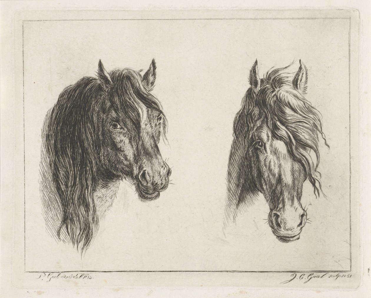 To hestehoveder af Jacobus Cornelis Gaal