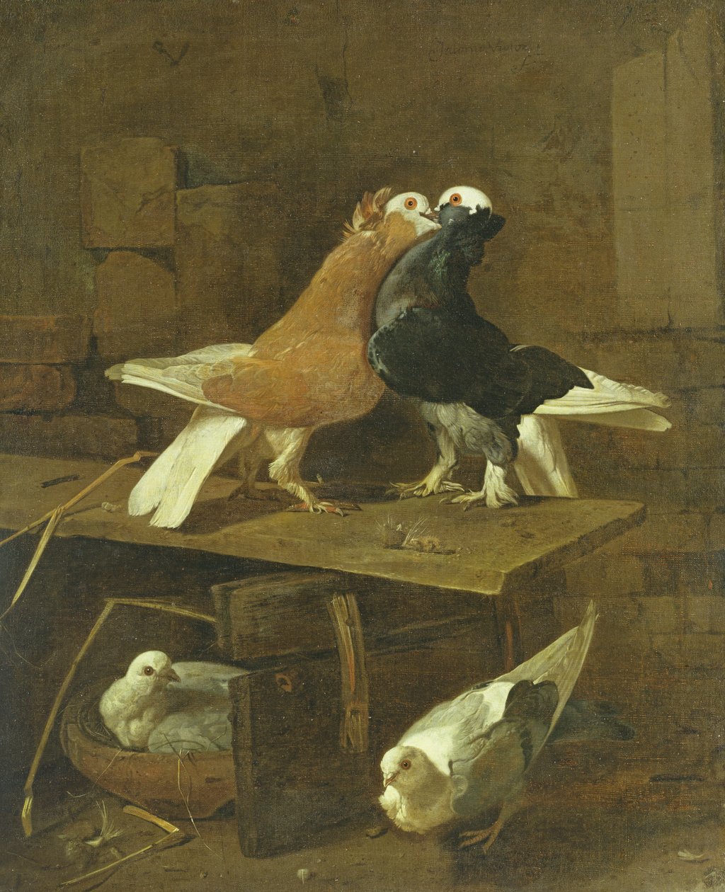 Duer af Jacomo Victors