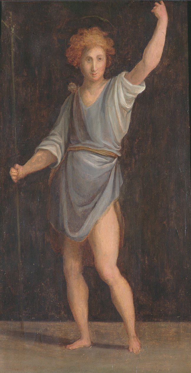 Panel, Mint vogn af Jacopo Pontormo