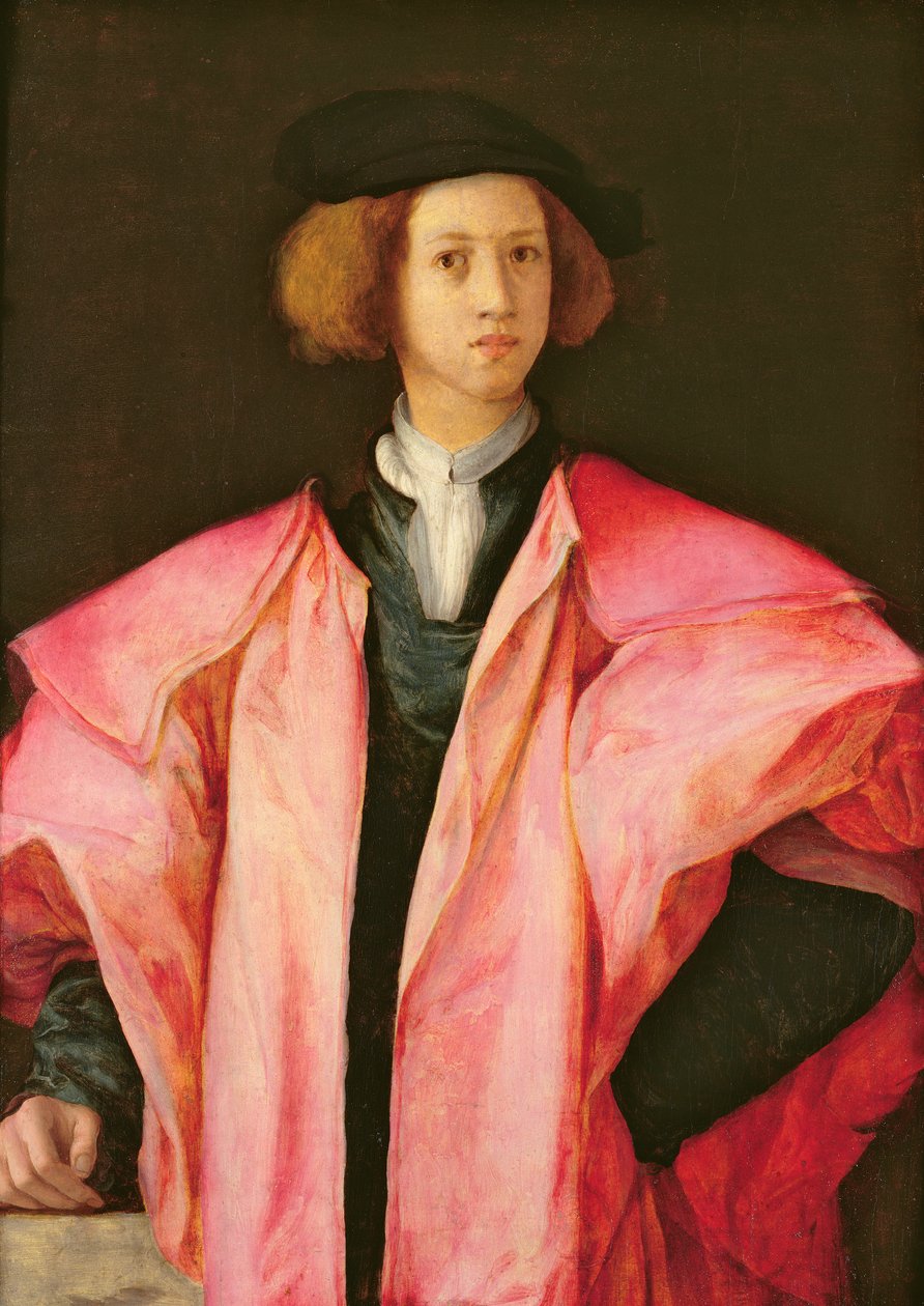 Portræt af en ung mand af Jacopo Pontormo