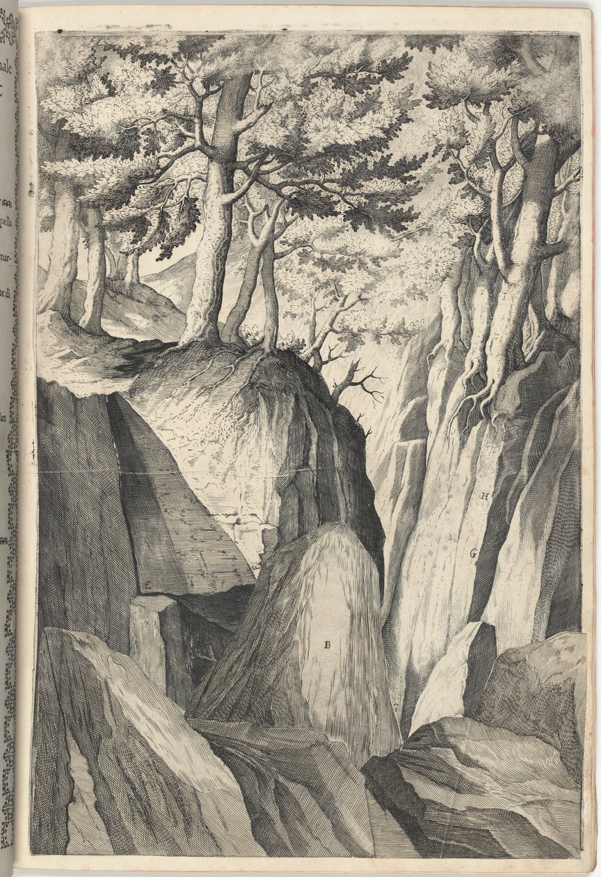 The Prominent Rock (Sasso spicco) [plade I] af Jacopo Ligozzi