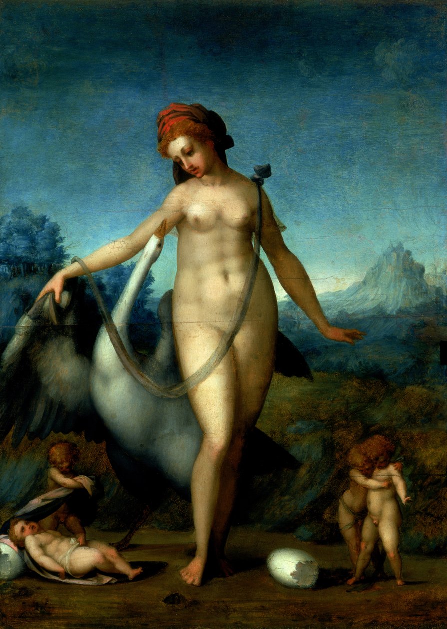 Leda and the Swan, ca. 1512-13 (panel) af Jacopo Pontormo