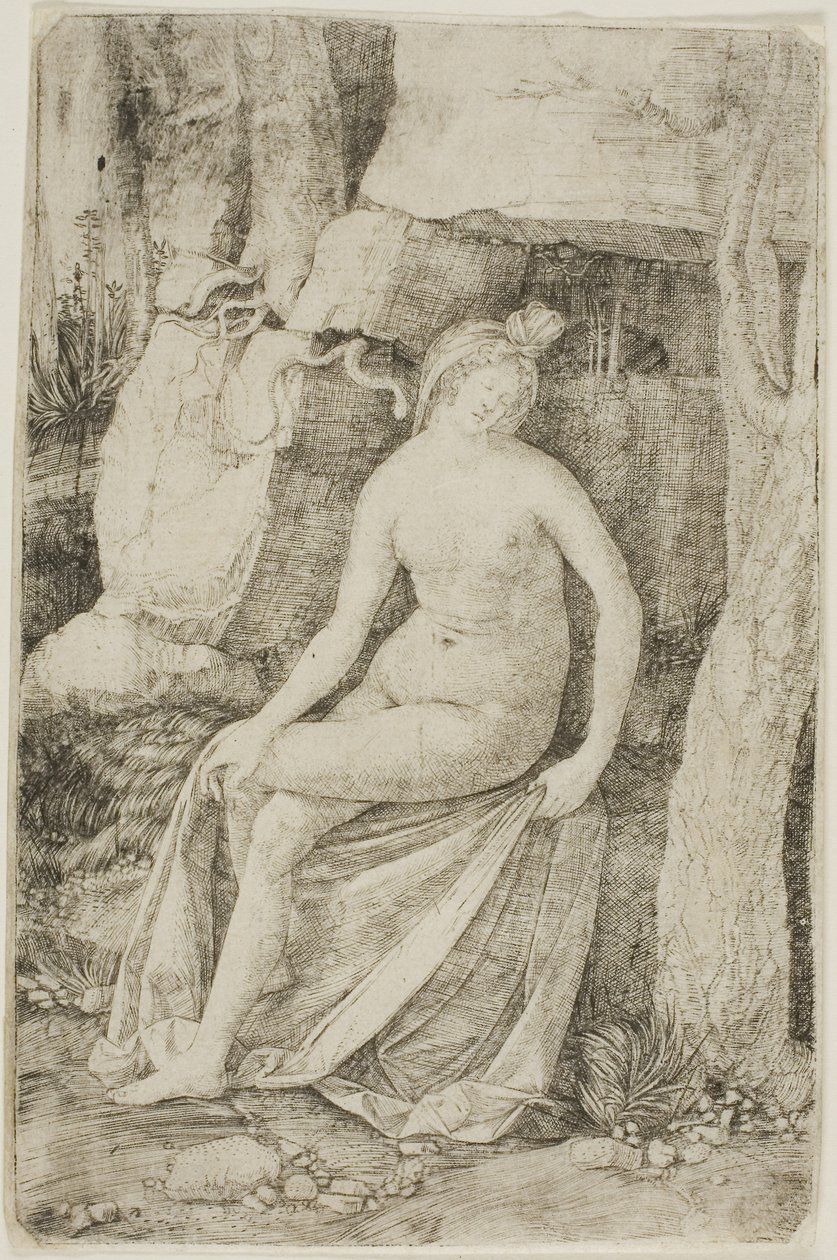 Kleopatra af Jacopo de
