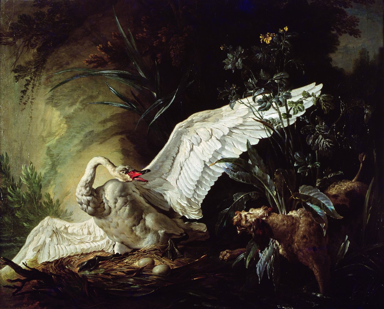 En vandspaniel angriber en svane på dens rede, 1740 af Jacques Charles Oudry