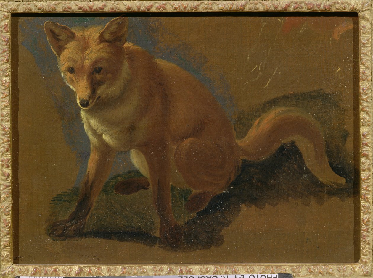 Studie af en ræv af Jacques Laurent Agasse