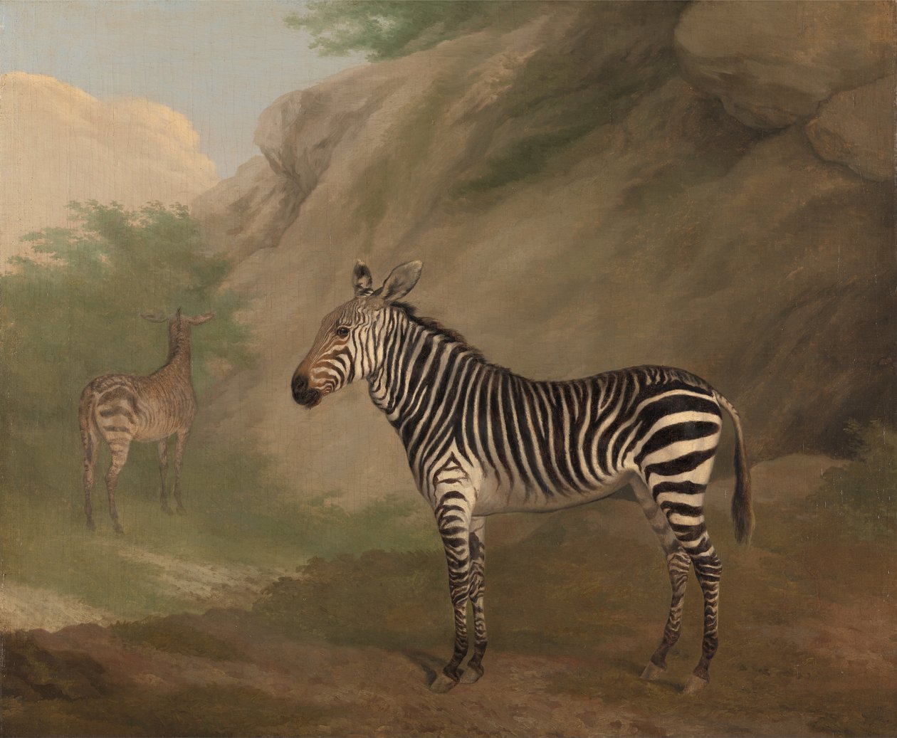 Zebra af Jacques Laurent Agasse