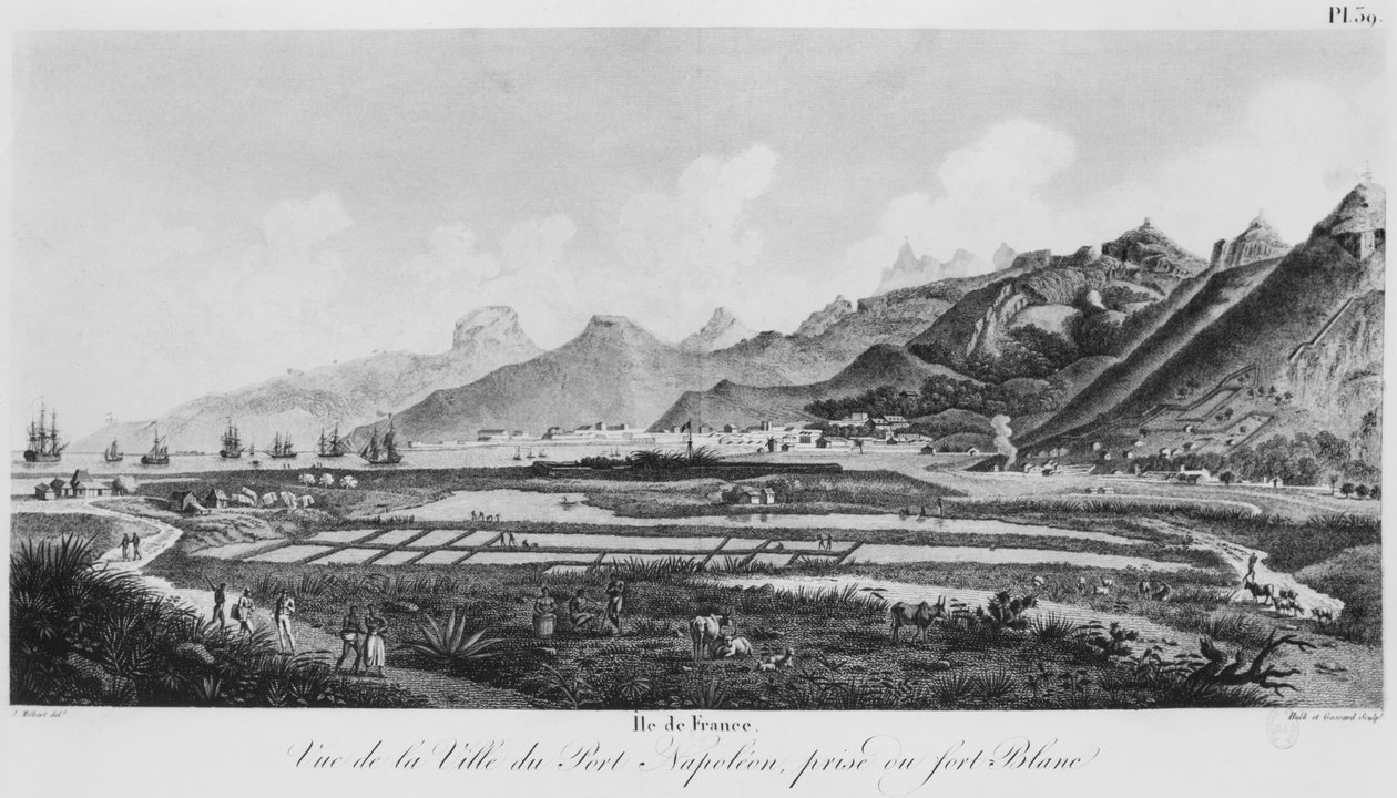 Øen Frankrig (Mauritius), udsigt over Port-Napoleon (bw-gravering) af Jacques Milbert
