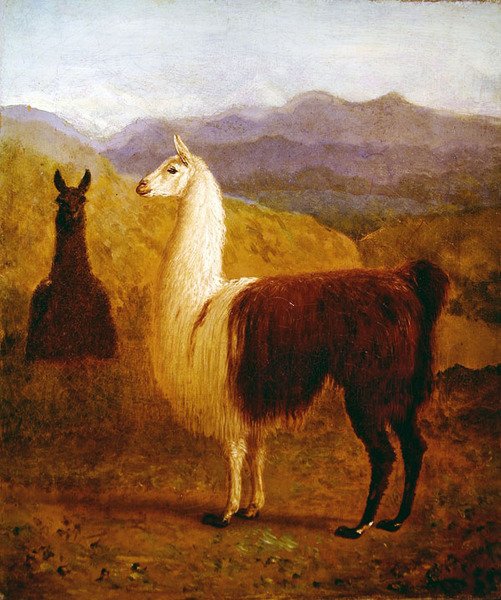To lamaer (olie på lærred) af Jacques Laurent Agasse