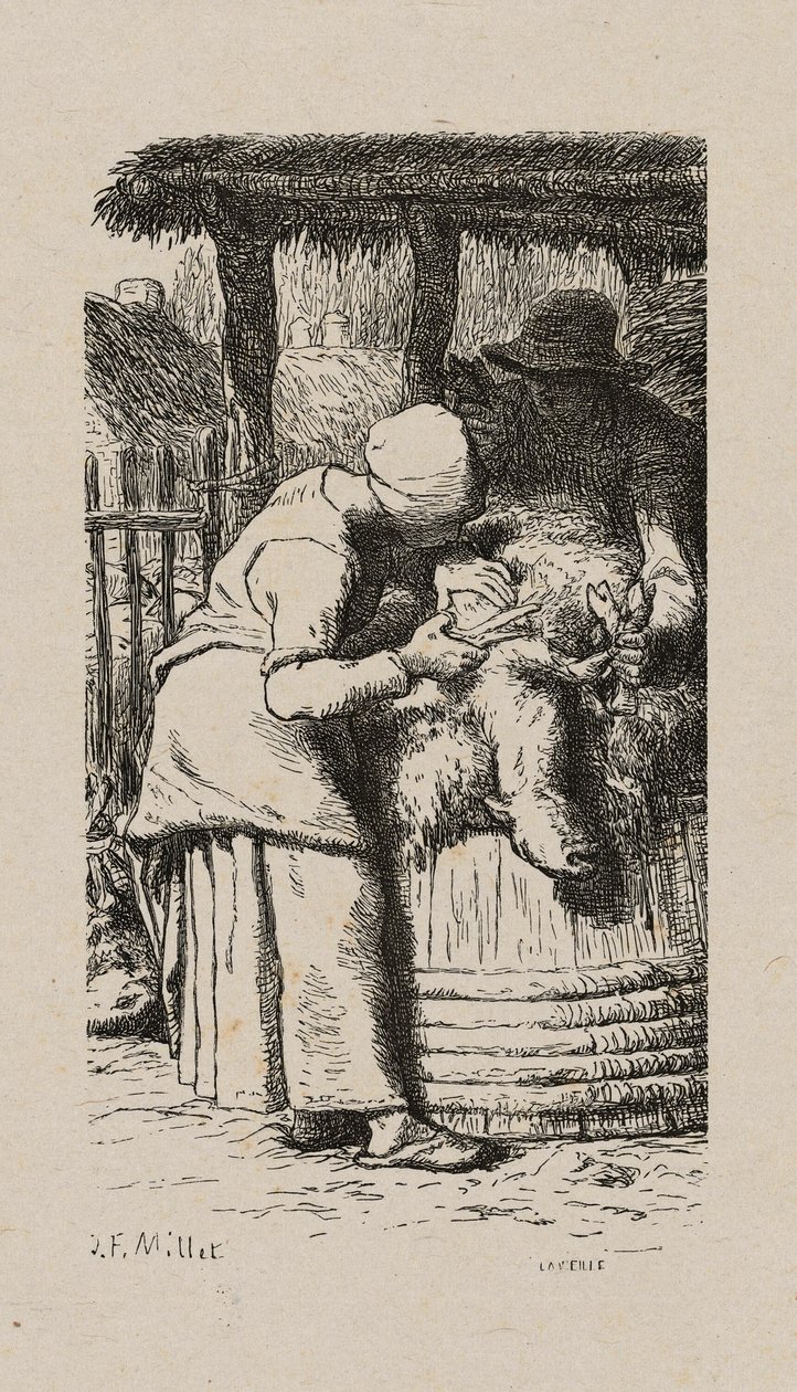Kvinde, der klipper får af Jacques Adrien Lavieille