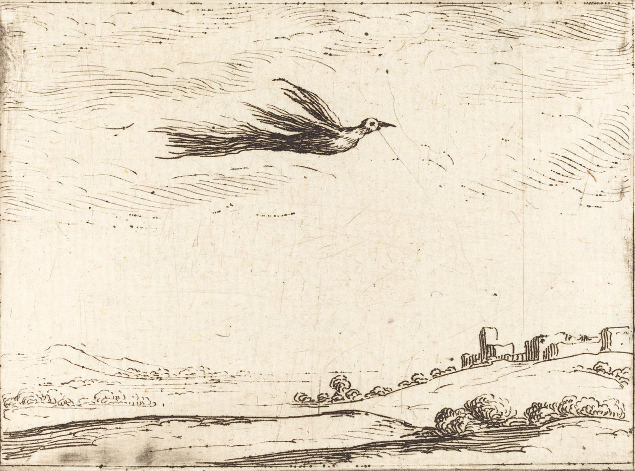 Paradisfugl. af Jacques Callot